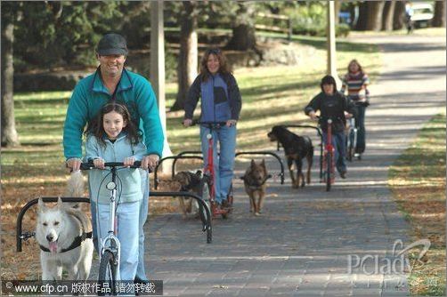 懒人创世纪：遛狗脚踏车让你和狗狗一起锻炼