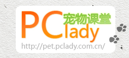 PClady宠物课堂：宠物御寒秘笈大公开