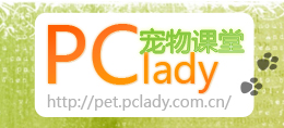 PClady宠物课堂：狗狗怀孕护理指南